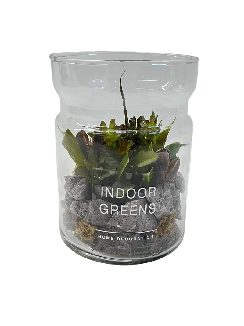INDOOR GARDEN ARRANGE IN GLASS JAR CAU197 DT