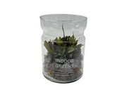 INDOOR GARDEN ARRANGE IN GLASS JAR CAU197 DT