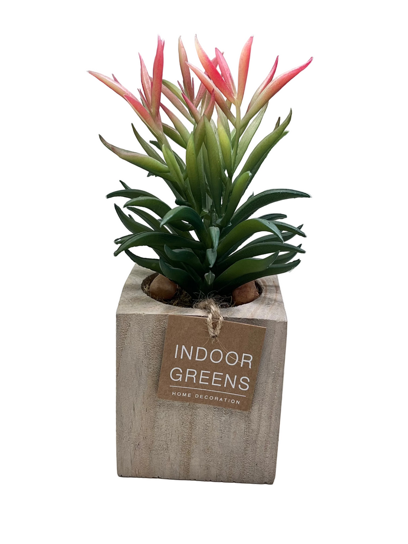 BONSAI ARRANGEMENT IN SQ WOODEN POT 20JC018 DT