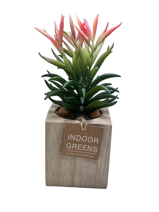 BONSAI ARRANGEMENT IN SQ WOODEN POT 20JC018 DT