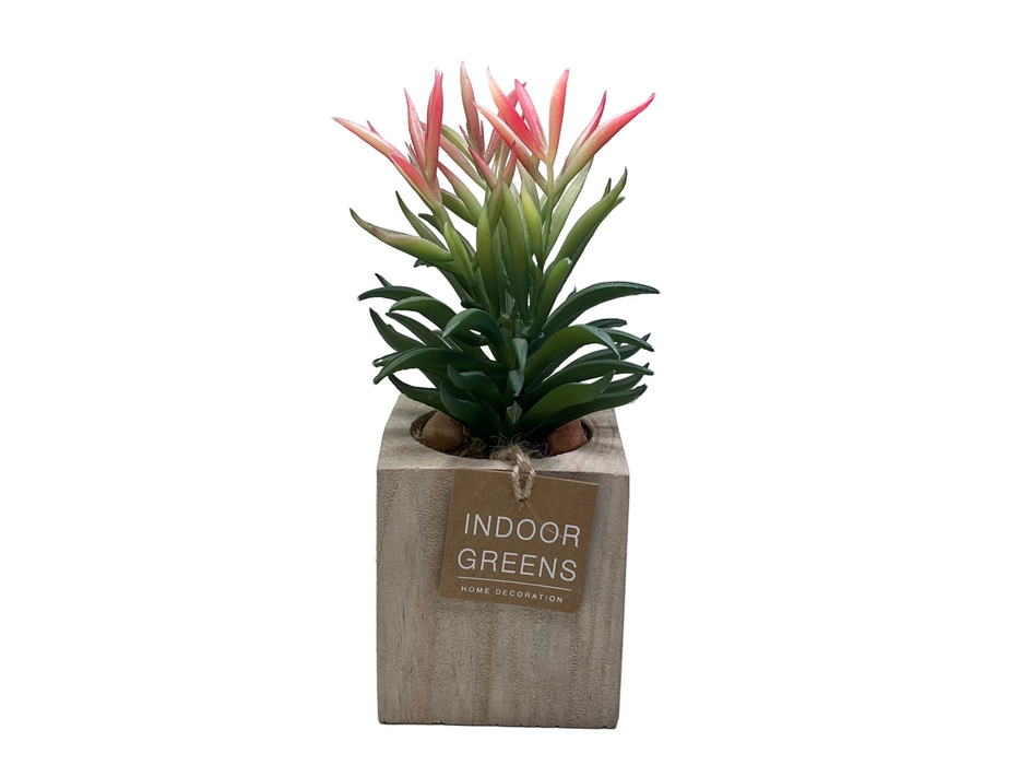 BONSAI ARRANGEMENT IN SQ WOODEN POT 20JC018 DT