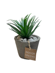 BONSAI ARRANGE IN CEMENT POT 20JC017 DT