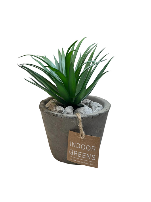 BONSAI ARRANGE IN CEMENT POT 20JC017 DT