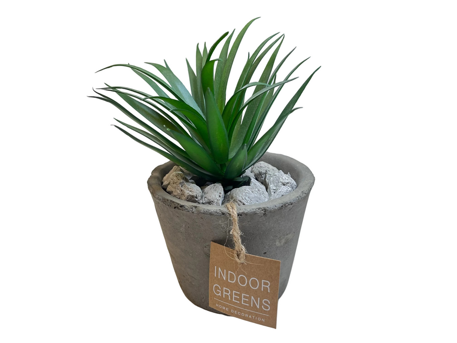 BONSAI ARRANGE IN CEMENT POT 20JC017 DT