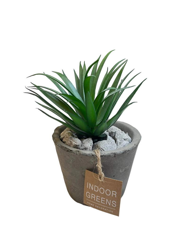 BONSAI ARRANGE IN CEMENT POT 20JC017 DT