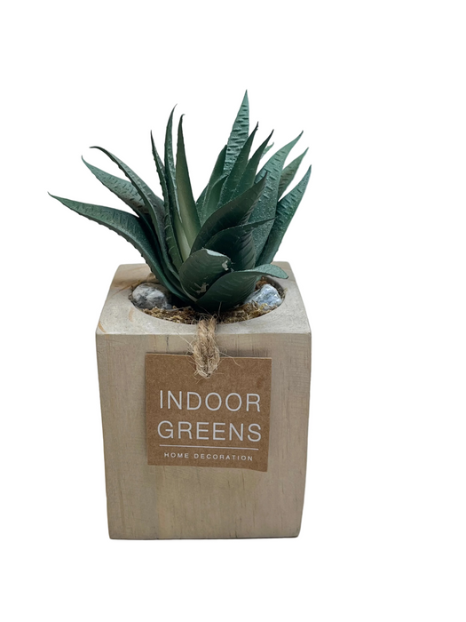 BONSAI ARRANGEMENT IN SQ WOODEN POT KJX3 DT