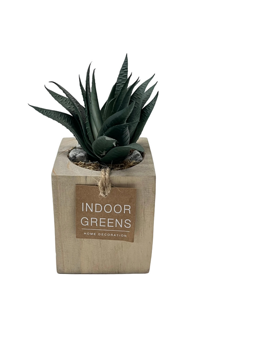 BONSAI ARRANGEMENT IN SQ WOODEN POT KJX3 DT