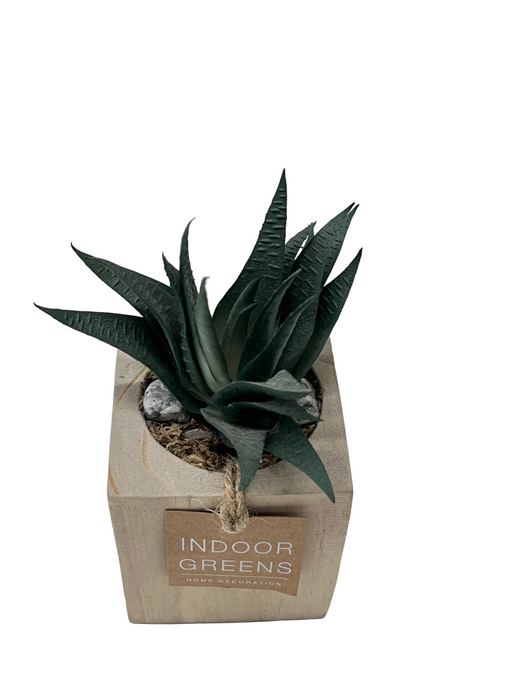 BONSAI ARRANGEMENT IN SQ WOODEN POT KJX3 DT