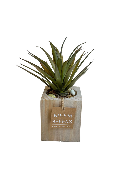 BONSAI ARRANGEMENT IN SQ WOODEN POT 20JC017 DT