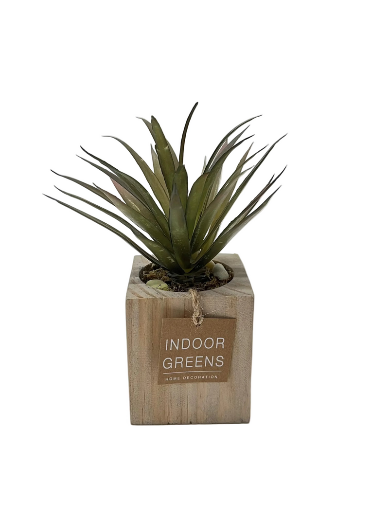 BONSAI ARRANGEMENT IN SQ WOODEN POT 20JC017 DT