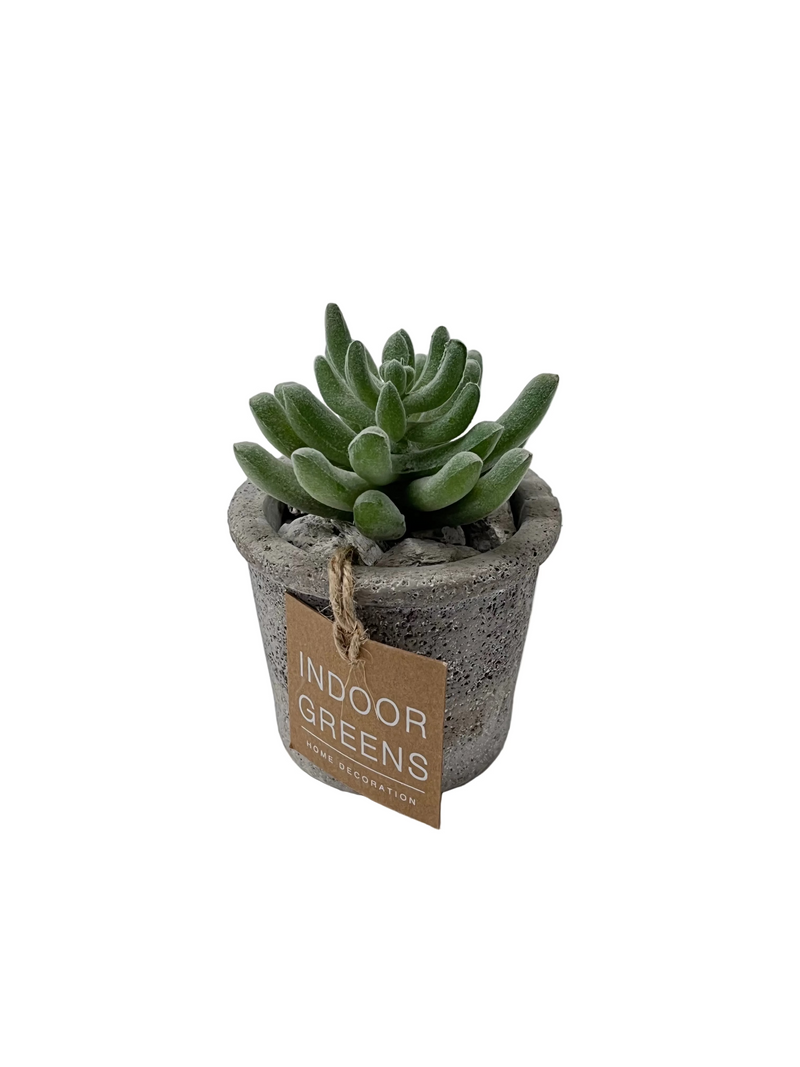 BONSAI ARRANGE ON TAPER T. POT 20JC003 DT